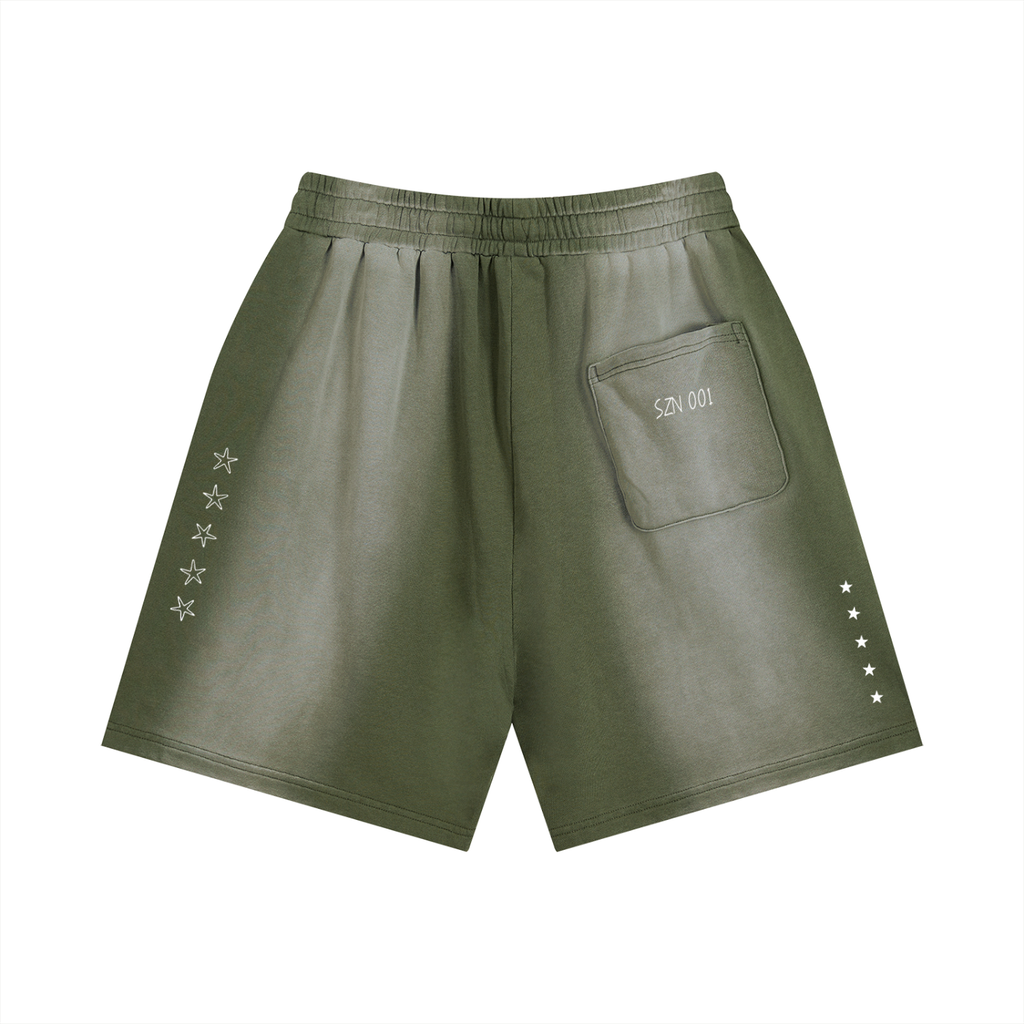 Origins Distressed Shorts